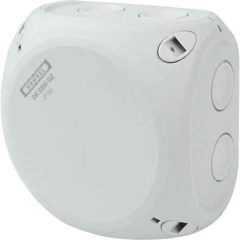 Caja de derivación hensel dk 0200 gz IP66 membranas extraíbles (1/2)