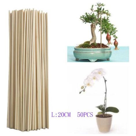 Ahlsen Barre de bambou barre de support de croissance des plantes petit bonsaï branche de vigne DIY outil de jardinage 3mm 20cm 50pcs (1/4)
