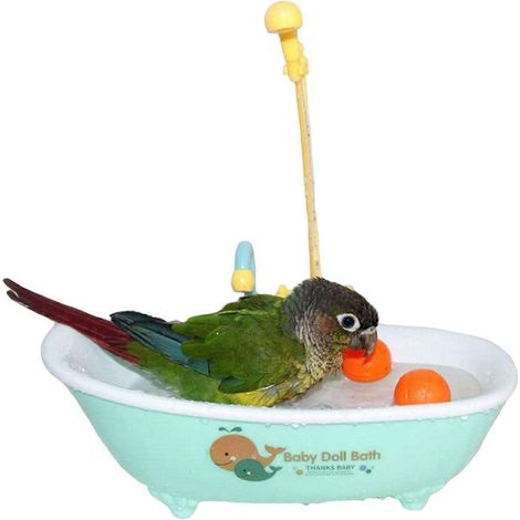 Bain automatique pour perroquets et oiseaux, avec robinet intégré, accessoire d'hygiène pour le bain et l'entretien quotidien de la cage.-AquaForge (1/5)