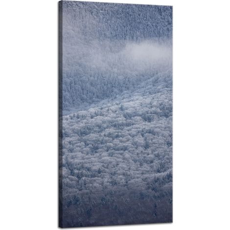 Impression sur toile Nature Forêt enneigée 40x80 cm