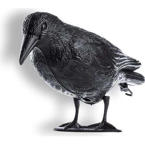 Corvo nero in plastica, efficace spaventapasseri per allontanare gli uccelli e proteggere il giardino, il balcone e la casa dai piccioni (1 pezzo)