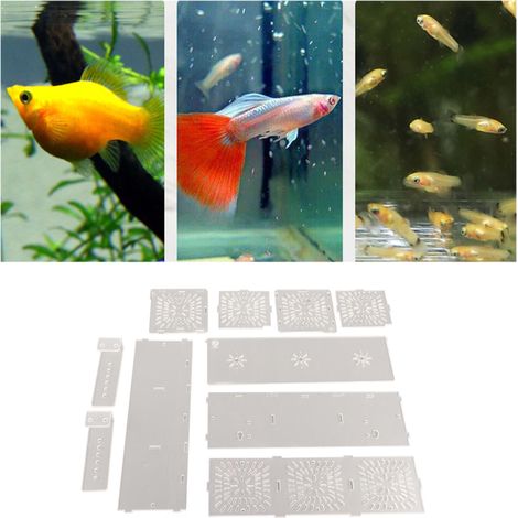 Boîtier d'Isolation pour Aquarium Transparent pour Poissons Malades et Incubation avec Paroi Intérieure 30x10x10 cm (1/5)