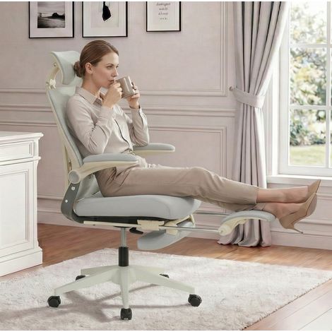 Silla de oficina ergonómica con reposapiés, reposacabezas 3D y apoyo lumbar, gris OKMYHOME (1/5)