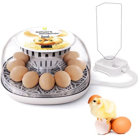 Automatischer Eierbrutapparat für 12 Eier, automatische Wendefunktion, einstellbare Temperaturregelung mit eingebauter LED-Eierbeleuchtung für Hühner, Enten, Gänse, Tauben (12 Eier)
