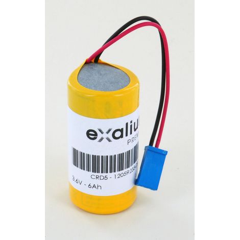 Pile 3.6V 6Ah Lithium pour Alarme N1 TYCO CSR 9000,