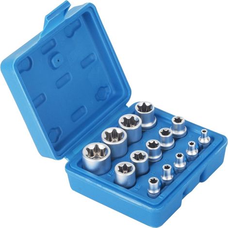 Sollbry Juego de 14 llaves de vaso Torx hembra E Star E4-E24 con tuerca hexagonal externa (1/5)