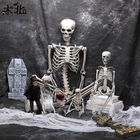 Squelette Halloween Décor ManoMarque Taille 60cm/90cm Squelette Articulé En Plastique Réaliste (1/5)