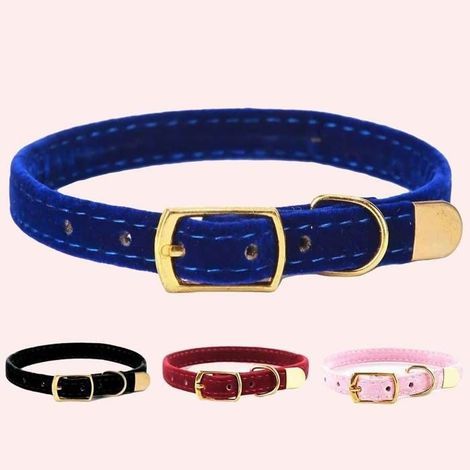 Collier de sécurité solide pour chat, 1 pièce - Noir (1/5)