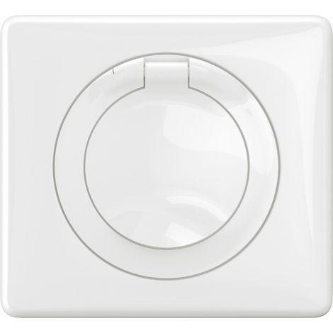 Legrand – Prise de courant complète 2P+T étanche IP44 – Installation rapide sans outil – Pour garages et buanderies – Design moderne blanc (1/4)