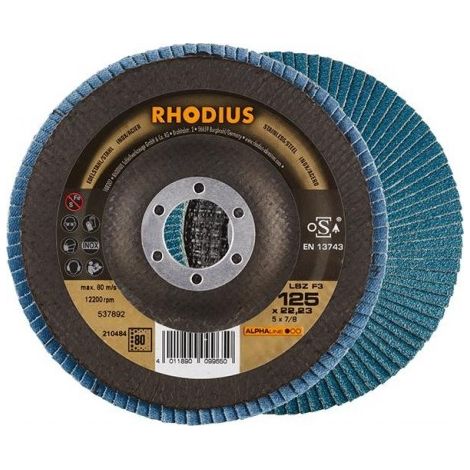 Disque à lamelles LSZ F3125mm K 80 Rhodius (1/5)