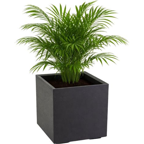 Vaso da fiori Betonique su ruote, riciclato, nero, 40x40xh40 cm (1/5)