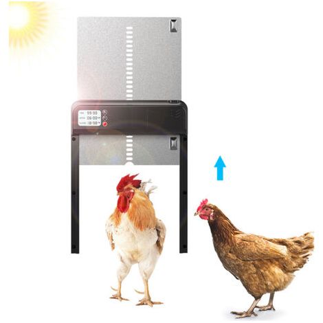 Porte automatique de poulailler avec minuterie en alliage d'aluminium IP45 affichage LED étanche ouvre-porte automatique de poulet alimenté par batterie pour la ferme (1/5)