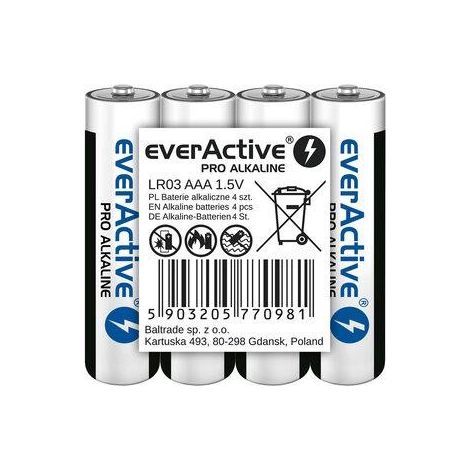Everactive (1/3)