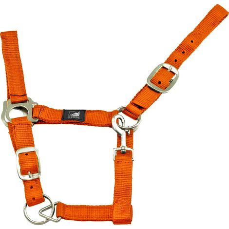 ARANCIO taglia FULL Supreme Cavezza nylon doppia regolazione