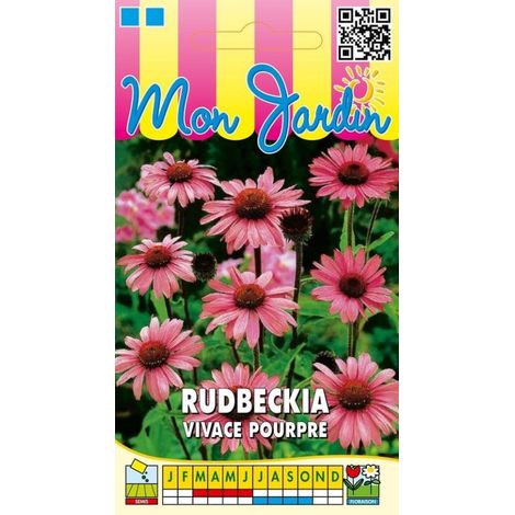 Rudbeckia vivace pourpre – Graines de fleurs – Floraison de juillet à octobre – Exposition soleil – Semis de mars à juin – Graines Bocquet