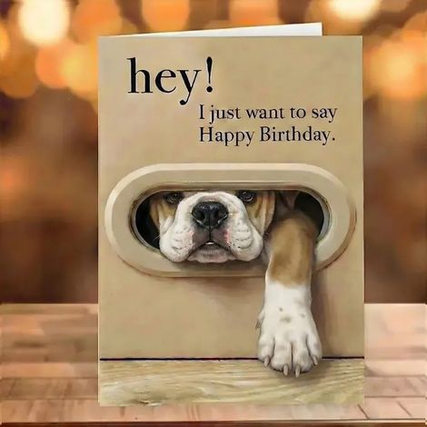 New Funny Dog Birthday Card - A fun dog birthday card for dogs - Midou -