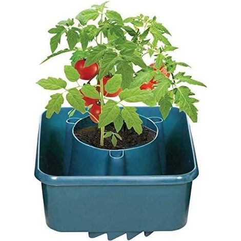 3x Tomato Grow Bag Plant Pots, Greenhouses Garden Pots Hardwearing Green Plastic for Tomatoes, Strawberries, Herbs or Outdoor Growing Plants Vegetables - 3pc (1/3)