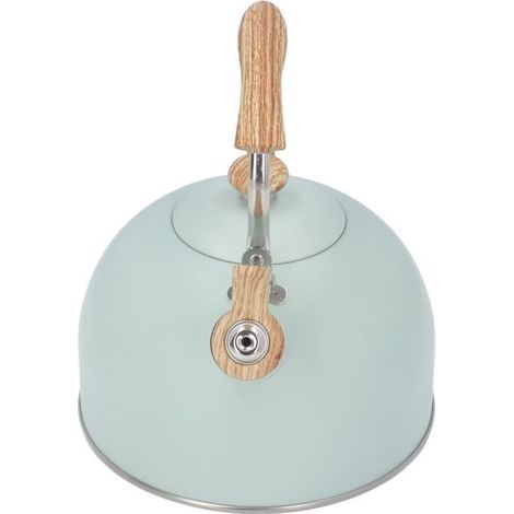 Bouilloire - FAFECY - 2,5L - Acier inoxydable - Poignée anti-brûlure - Sifflement (1/4)