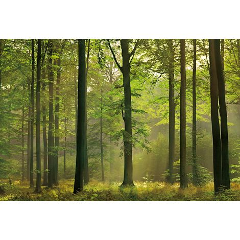 Papier peint panoramique forêt au printemps | Tapisserie panoramique verte avec arbre pour chambre | Papier peint panoramique nature pour couloir - 384 X 260 cm (8 pièces) (1/3)