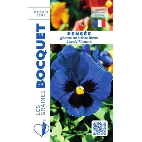 Pensée géante de Suisse bleue Lac de Thoun - 0,5g