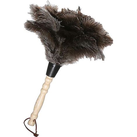 35cm-plumeau Autruche, Plumeau Poussiere Plume Avec Poigne Filete, Ostrich Feather Dusters, Pour Bureau, Salon, Bibliothque, Clavier (1/5)