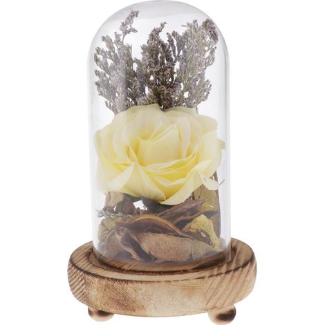 vitrine cloche cloche dôme fleur conservation immortelle vase jaune (1/5)