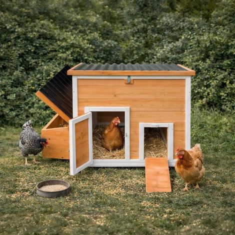 Poulailler Hefa+ en pin traité avec toit plastique - 6 poules (1/5)