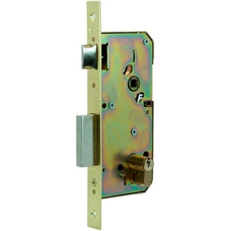 cerradura 4200 50 mm latonado palanca deslizante picaporte reversible (1/2)