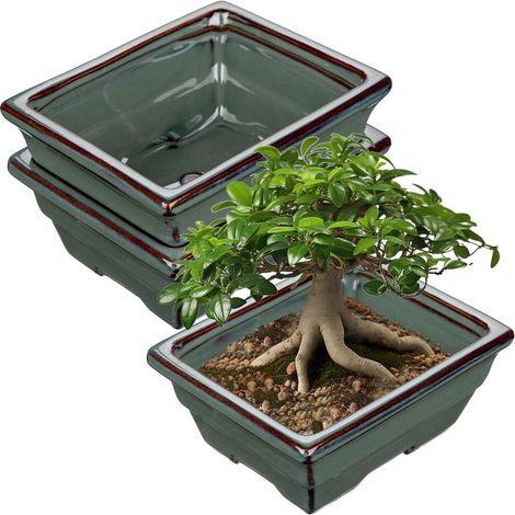 2er-Set Keramik Bonsai-Töpfe mit Entwässerungsloch, flache Pflanzschalen für Zimmerpflanzen (1/5)