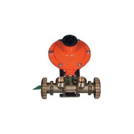 MINI-CONTRÔLEUR DE GAZ AVEC RÉGULATEUR 2202 SANS MANCHON Mesure : kg/h 7