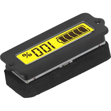 Tragbarer digitaler Batteriekapazitäts- und Spannungsmonitor mit Anzeige für den Batteriestand in Wohnmobilen und Elektrofahrzeugen (24 V) (1/5)