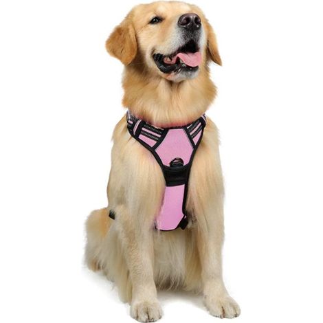 Harnais Chien Anti Traction,Harnais Réfléchissant Réglable avec Attache Devant Harnais pour Chien Moyen,Taille M (1/5)