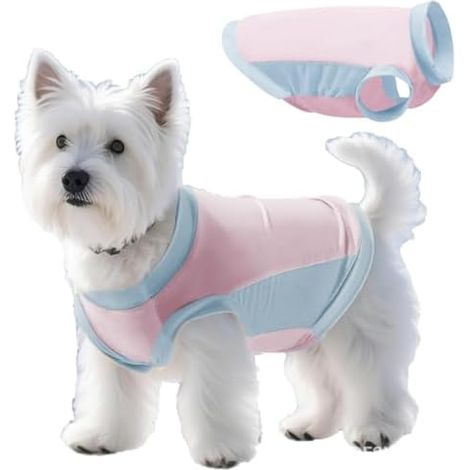 Gilet Refroidissant Chien, UPF50+, Anti-UV, Soie Glacee, Tech Respirant, Ete, Promenade, Animal (1/5)