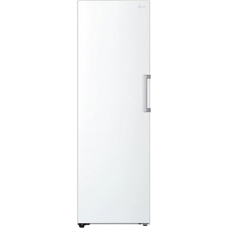 Congelador vertical 186cm 59,5cm 324L Clase E LG GFT41SWGSZ Inox (1/5)
