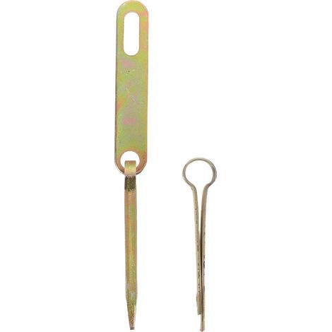 Loquet à Pêne Métallique Vintage pour Porte (1/5)