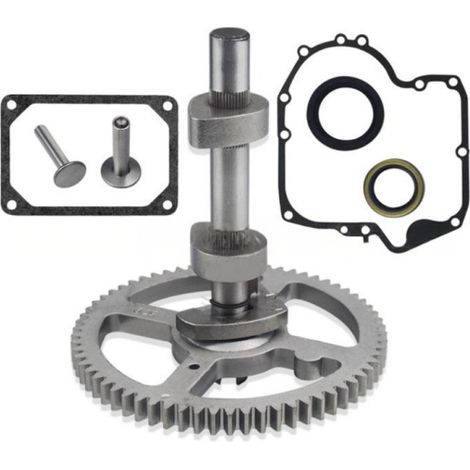 84005207 793880 Arbre À Cames Kit De Remplacement pour Briggs Stratton 84005207 793583 792681
