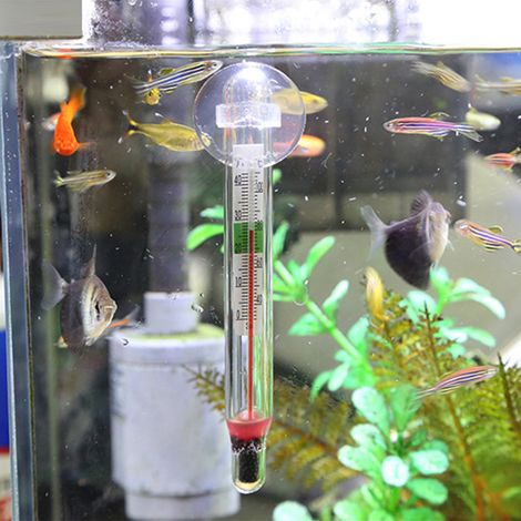 Tauchbares Glas-Aquarienthermometer, Fisch-Aquarienthermometer mit Saugnapf, Wassertemperaturmessung (1/5)
