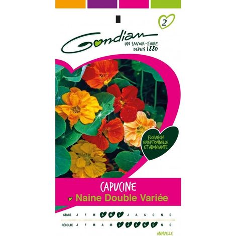 Gondian - Capucine Double Mix Naine