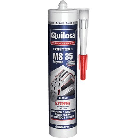 SCELLANT CONSTRUCTION BLANC (1/6)