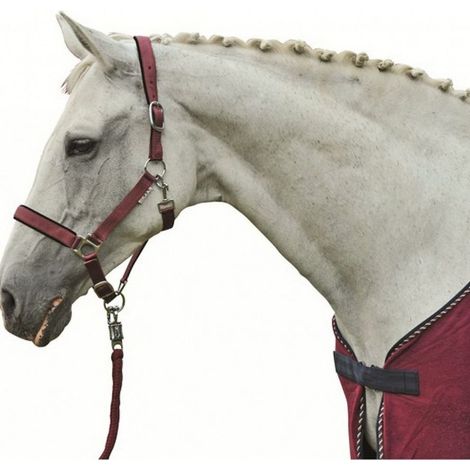 cob, BLEU FONCÉ 6900: Linge de lit pour chevaux modèle Soft and padded Stars
