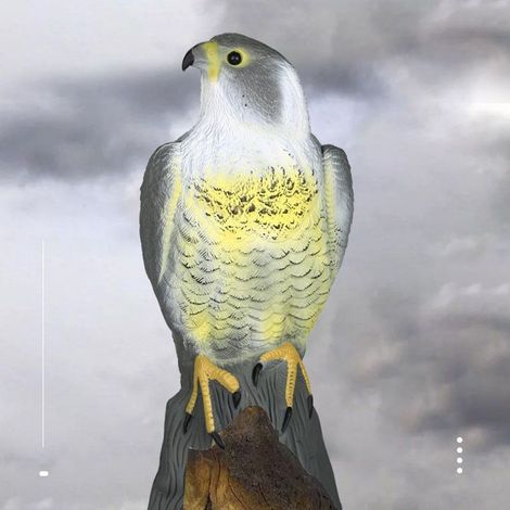 Leurre anti-oiseaux in shape of faucon 41 cm Resistant to the weather Ideal for garden and outdoor (1/5)