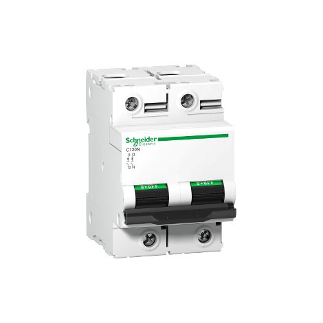 Interruttore magnetotermico C120N 2P D 100A 10000A - A9N18384