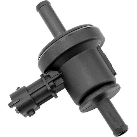 Électrovanne de purge du canister d'évaporation pour Hyundai Elantra Kia Soul 06-13 28910-26900 (1/5)