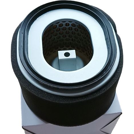 Filtre à air d'origine YANMAR pour modèle L100N, références : 114210-12590 / 114211-12510. Élément filtrant. (1/2)