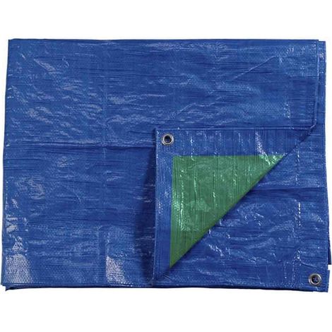 EDM Telo di Protezione Doppio Lato 6 x 10 metri Blu Verde (1/2)