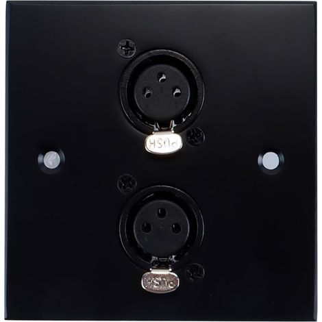 Plaque murale en aluminium brossé pour prises XLR femelles doubles de la série D, pour connexions d'amplificateur audio, de microphone, de mixeur et de haut-parleurs (1/5)
