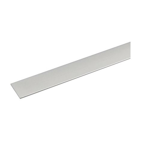 PROFILO PIATTO ARCANSAS - ALLUM ARGENTO S.MM 2,0 L.MM 30 H.CM 100- 5 pezzi