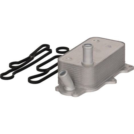 Enfriador de aceite rápido FT12529 (1/5)