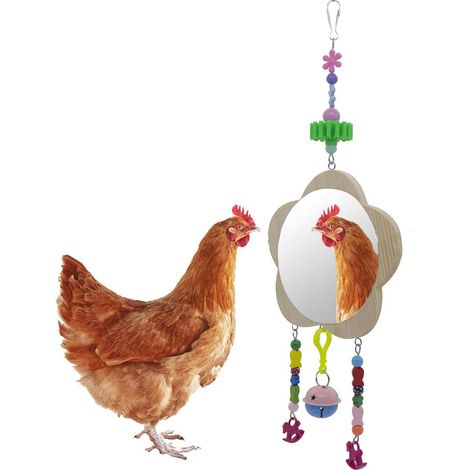 BEBUSINGOTO Espejo columpio de juguete de pollo, campana colgante y molar, juguete de pollo, juguete de pájaro, espejo, espejo de pollo (1/5)