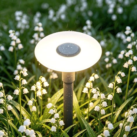 Mai & Mai Lampe sur Pied Extérieur Gris Foncé 300x804mm éclairage Extérieur LED IP65 Desgin StellaeLights (1/5)